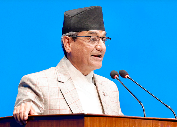 Image of https://mayorsap.com/storage/photos/10/ramesh lekhak 3.PNG